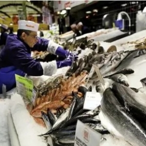 全國主要水產品批發(fā)市場報價動態(tài)與日用百貨銷售渠道淺析